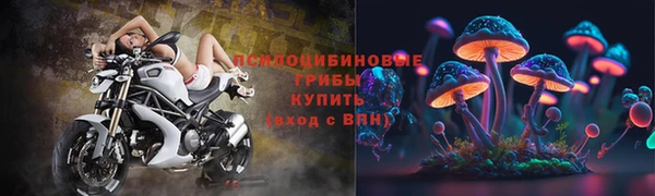 первитин Ладушкин