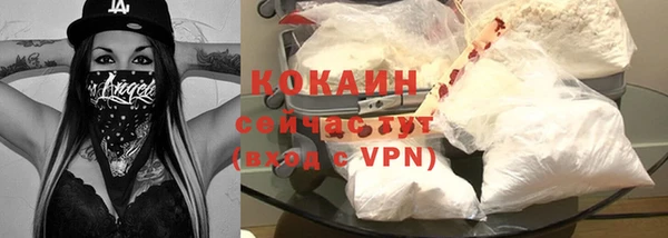 мдпв Майский