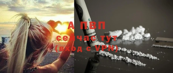 спиды Магадан