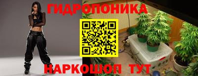 сатива Балахна