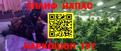 сатива Балахна