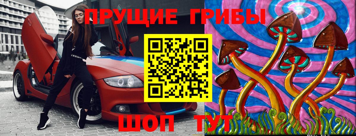 Псилоцибиновые грибы GOLDEN TEACHER Архангельск