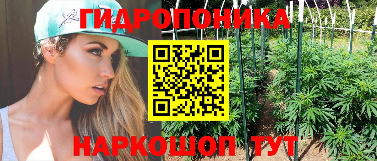 Бошки Шишки семена  Вход с VPN  Архангельск  МАРИХУАНА сатива 